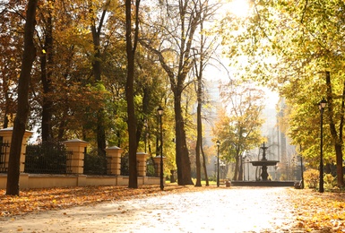 Image of Beautiful city park with trees in autumn