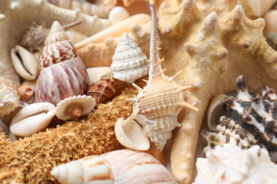 Photo of Starfishes and beautiful seashells as background, closeup view