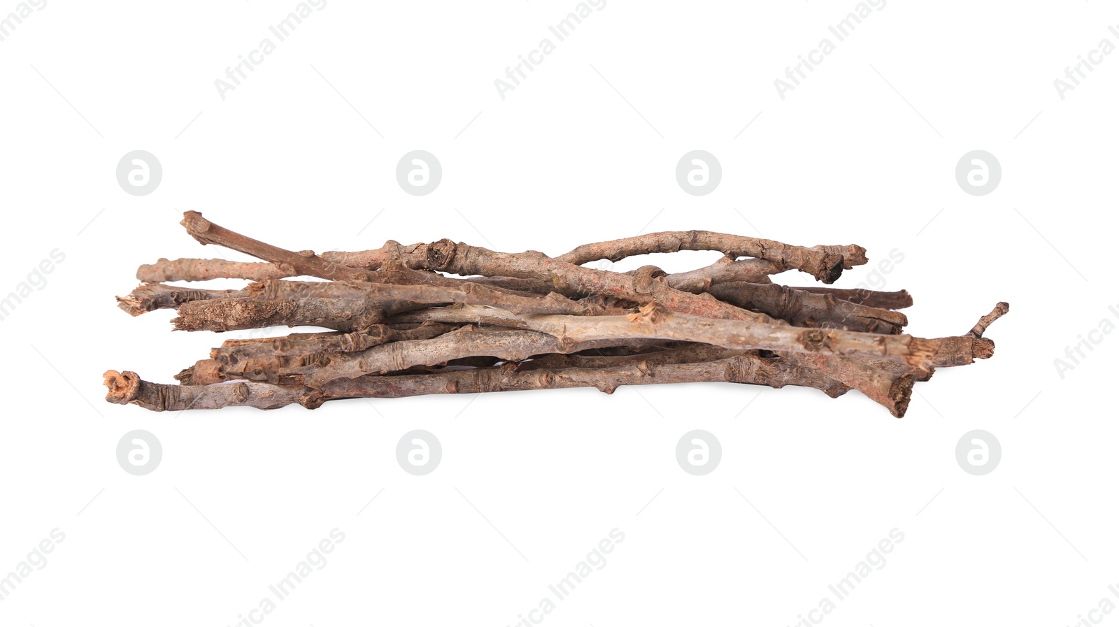 Photo of Old dry tree twigs isolated on white