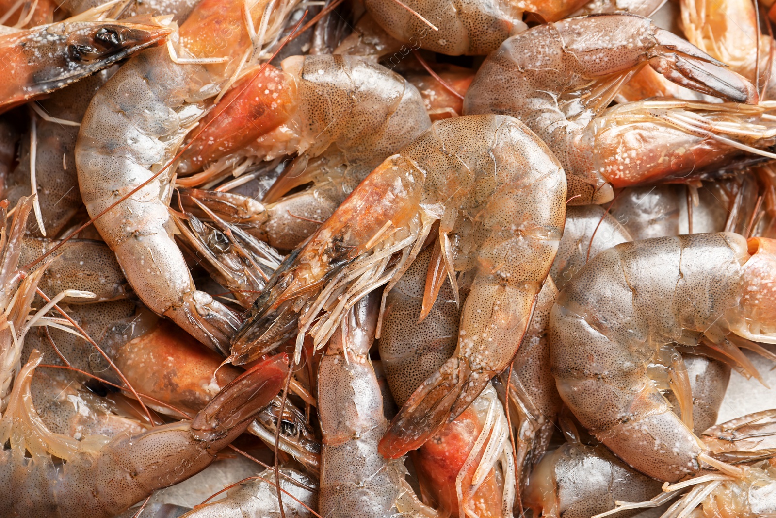 Photo of Fresh raw shrimps, closeup