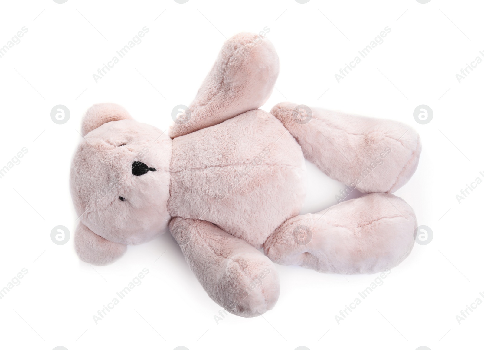 Photo of Cute teddy bear isolated on white. Child's toy