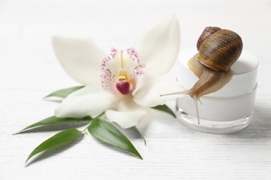 Photo of Snail, cream and orchid flower with leaves on white wooden table, closeup