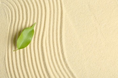 Zen rock garden. Wave pattern and green leaf on beige sand, top view