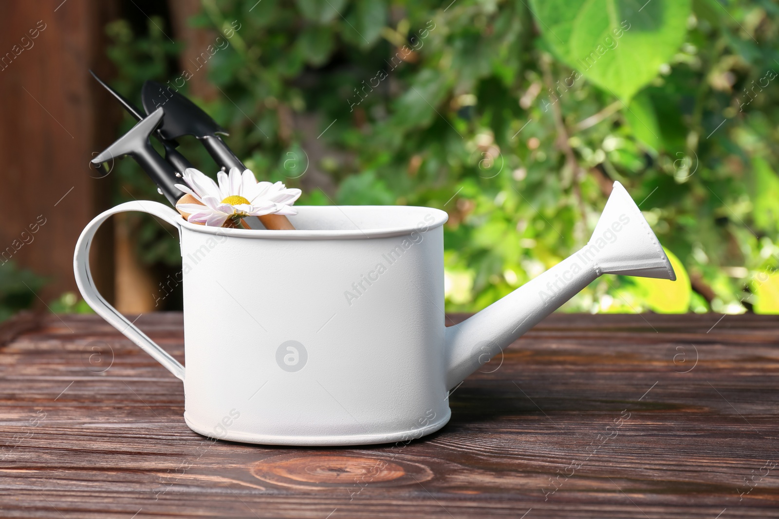 Photo of Watering can, flower and gardening tools on wooden table outdoors