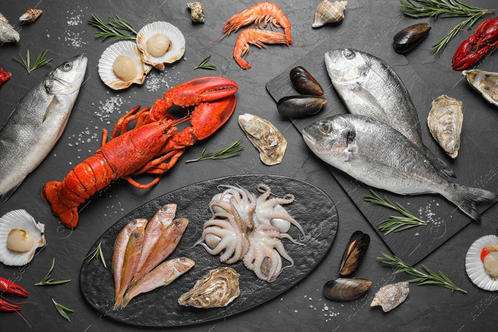 Photo of Fresh fish and different seafood on black table, flat lay