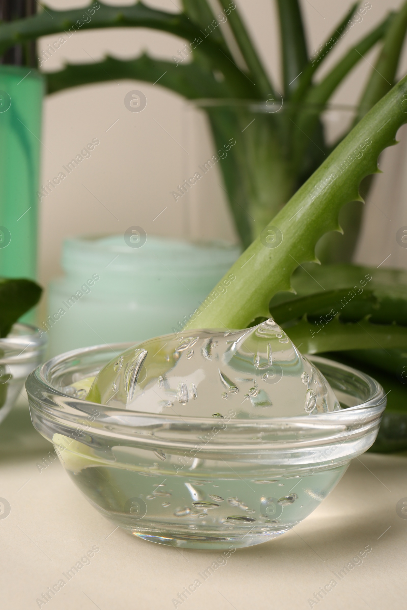 Photo of Bowl with natural gel and fresh aloe on beige background, closeup