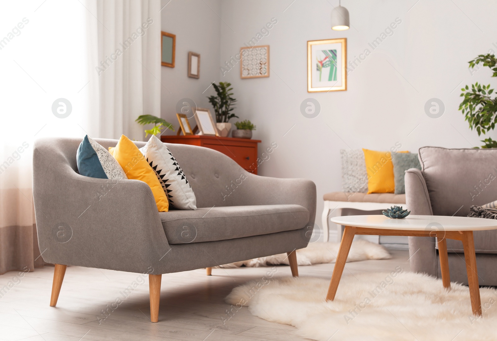 Photo of Elegant living room interior with comfortable sofa and armchair