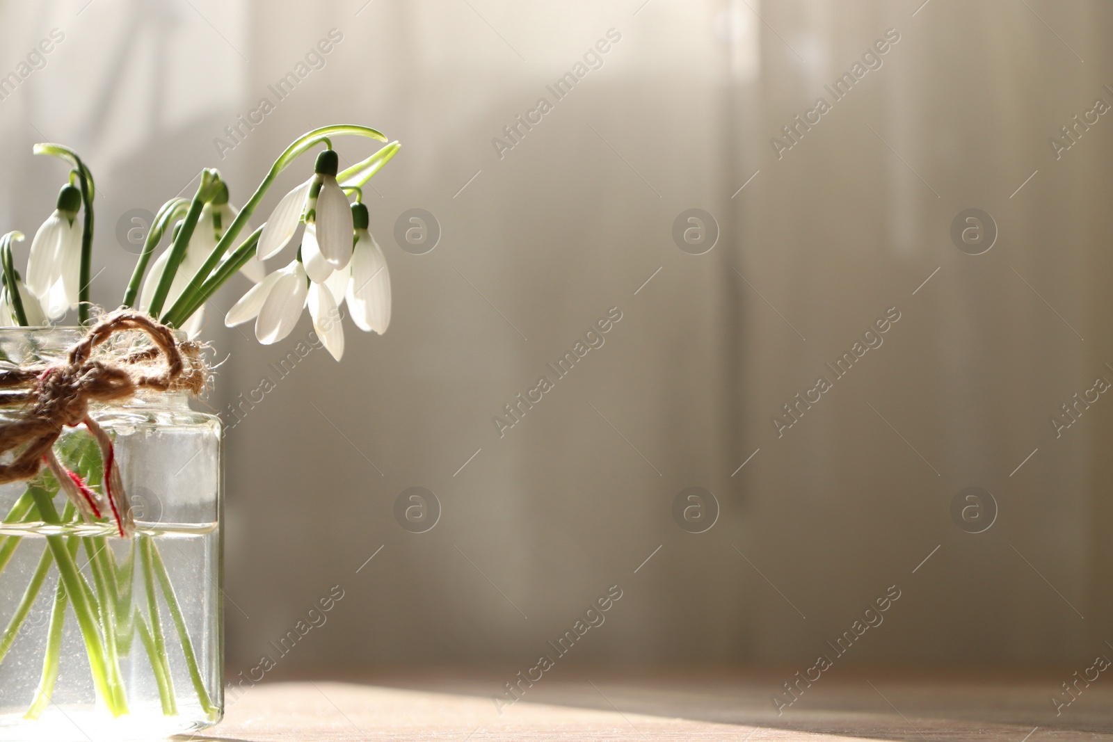 Photo of Beautiful snowdrops in glass jar indoors, space for text. First spring flowers