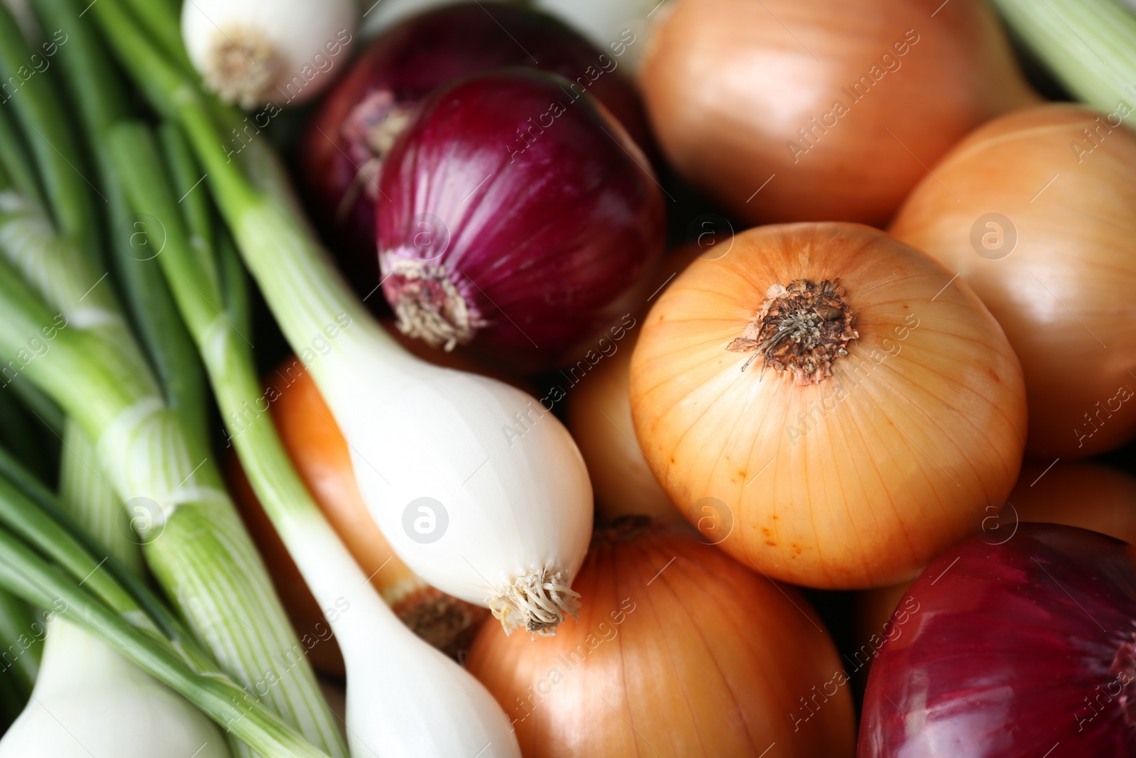 Photo of Different kinds of onions as background, closeup