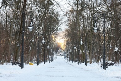 Photo of Trees, street lamps and pathway covered with snow in winter park