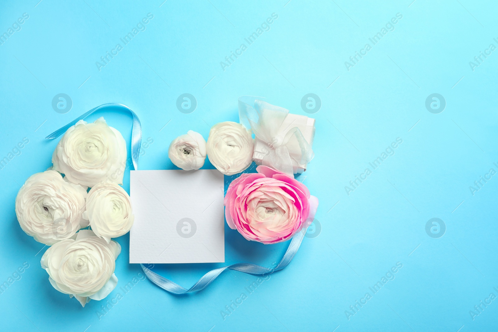 Photo of Beautiful ranunculus flowers with blank card and gift box on color background