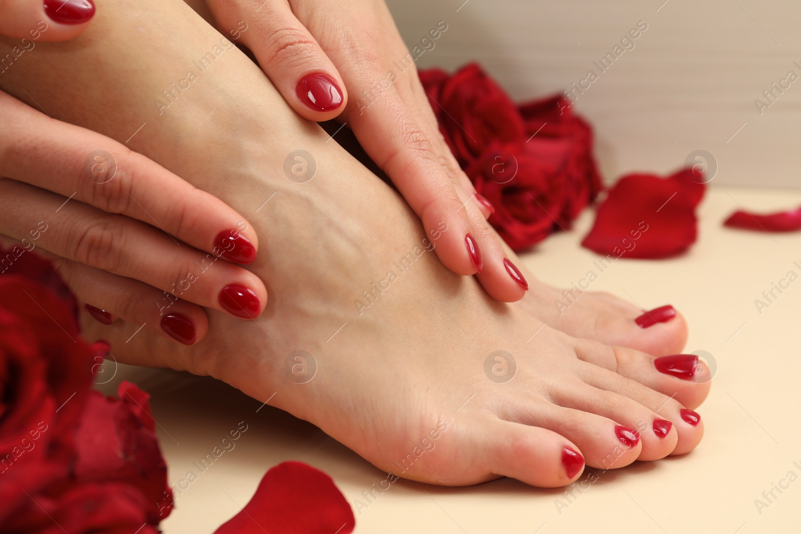 Photo of Woman with stylish red toenails after pedicure procedure and rose petals on beige background, closeup