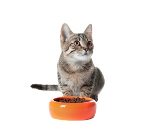 Photo of Grey tabby cat with feeding bowl on white background. Adorable pet
