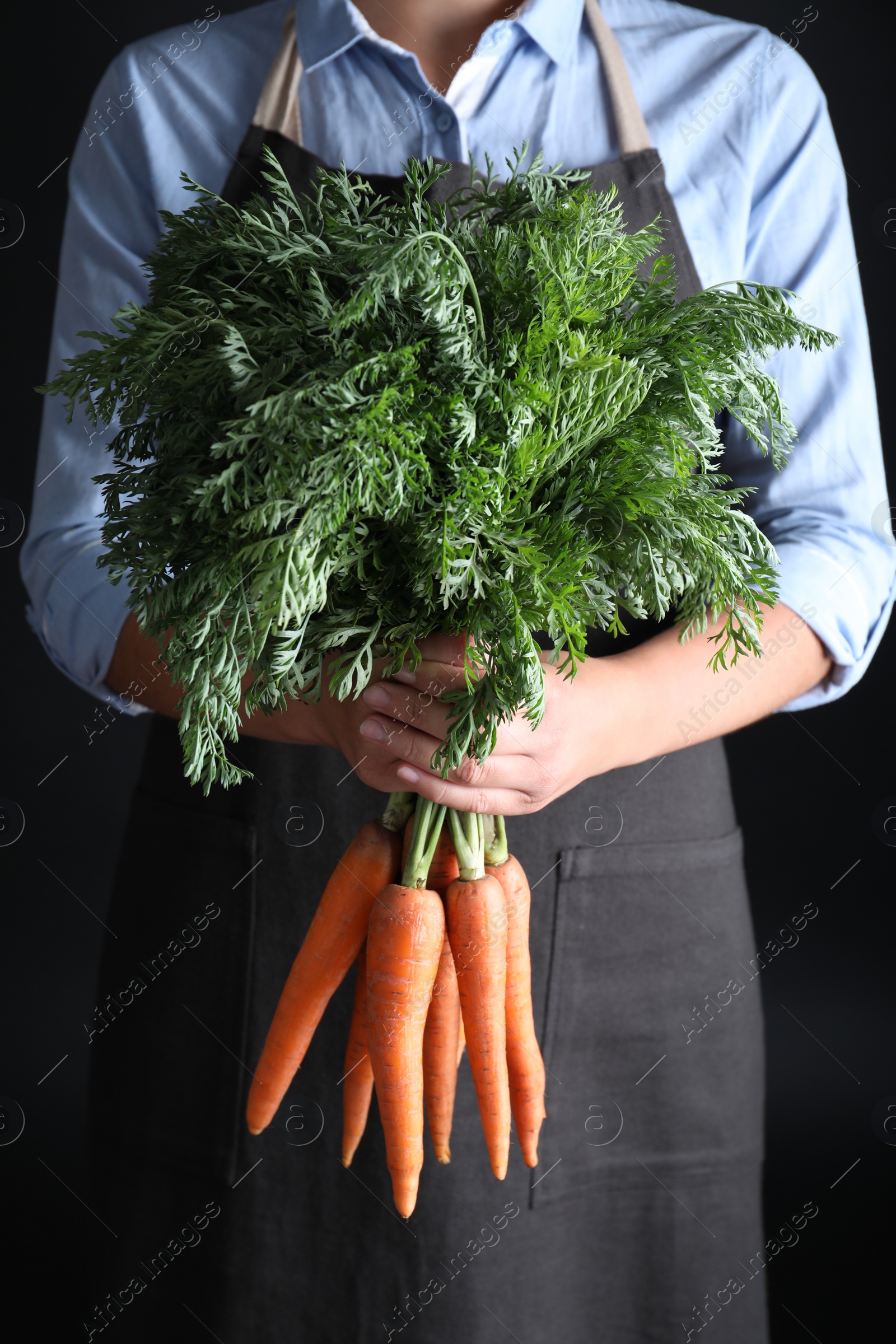 Photo of Woman holding ripe carrots on black background, closeup