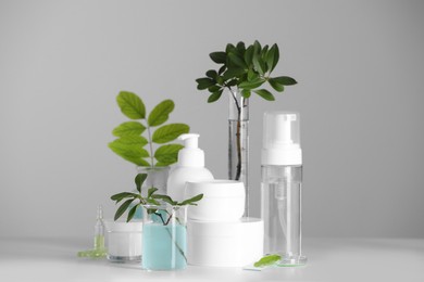 Photo of Many containers and glass tubes with leaves on white table against light grey background