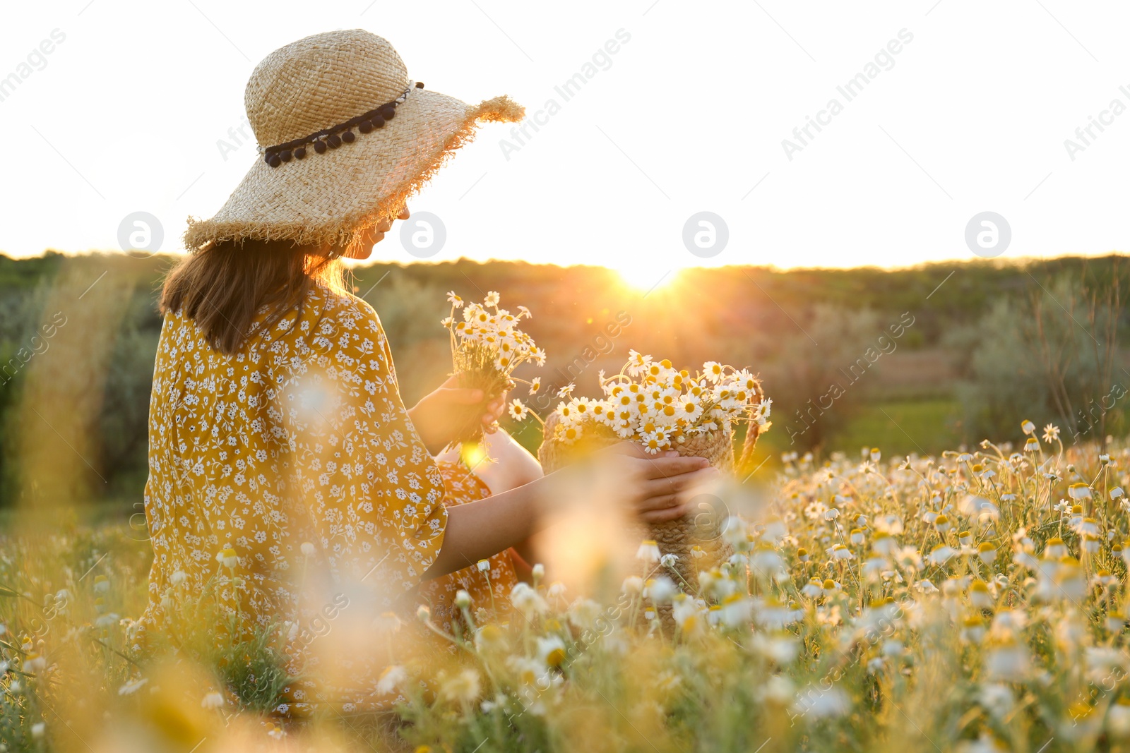 Photo of Woman with straw hat and handbag full of chamomiles resting in meadow