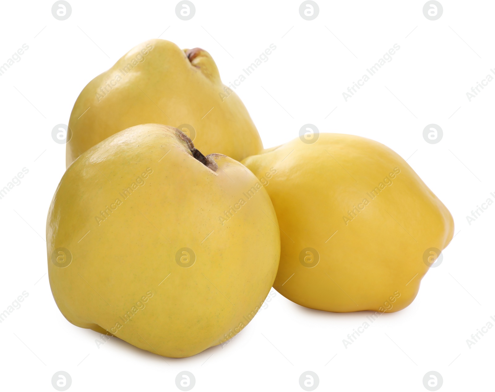 Photo of Delicious ripe fresh quinces on white background