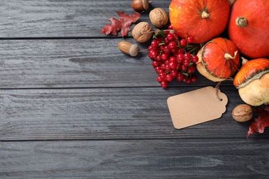 Photo of Flat lay composition with autumn vegetables and fruits on grey wooden background, space for text. Happy Thanksgiving day