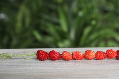Photo of Grass stem with wild strawberries on white wooden table, closeup. Space for text
