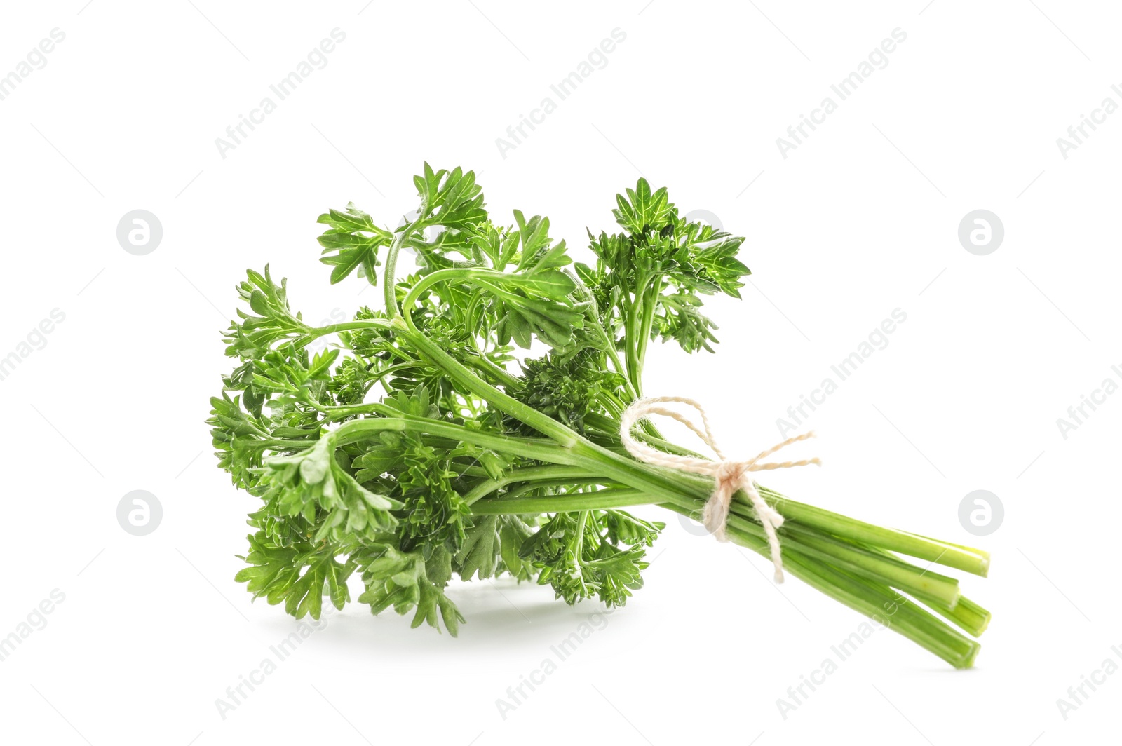 Photo of Bunch of fresh green parsley on white background