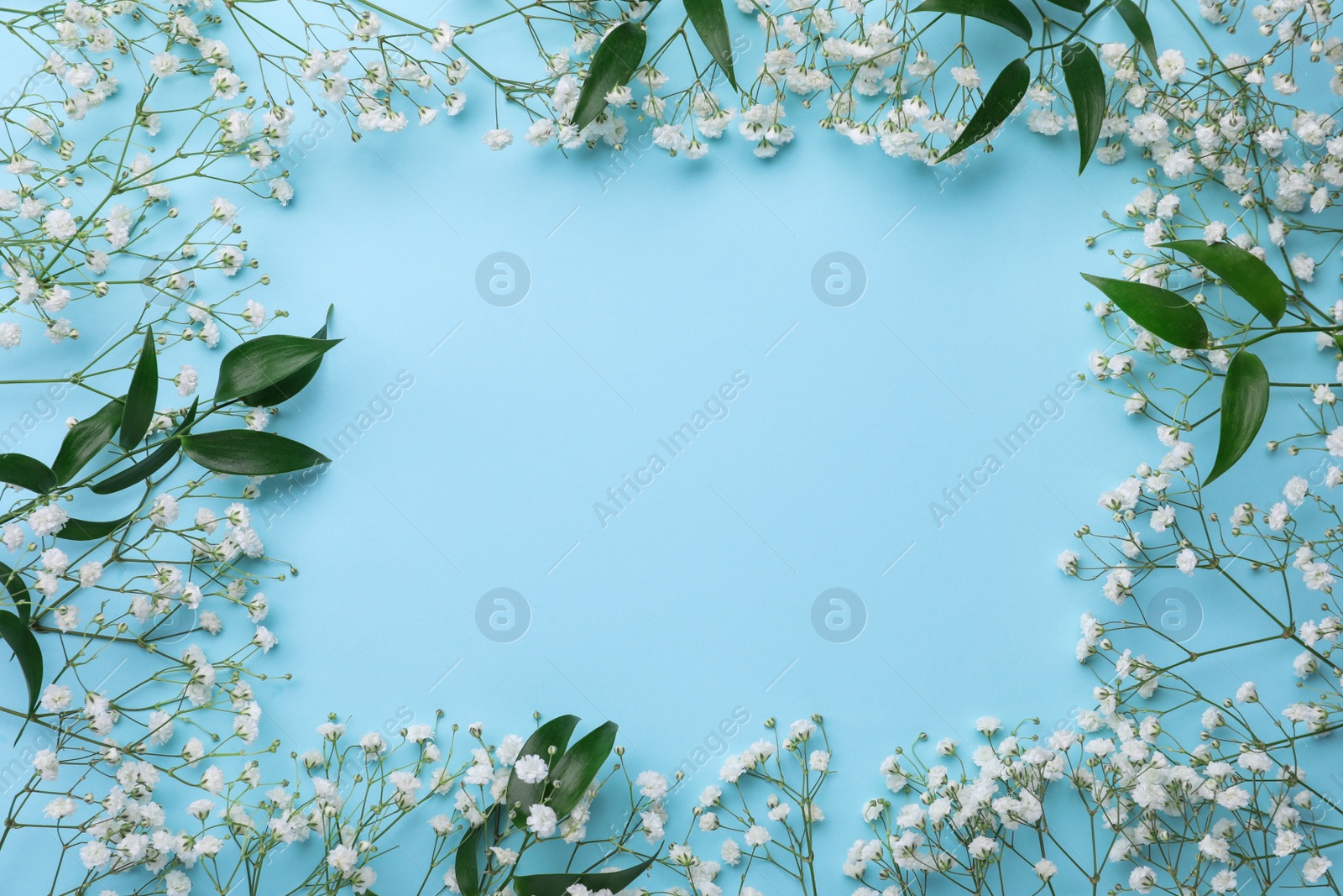 Photo of Frame of beautiful gypsophila flowers and green leaves on light blue background, flat lay. Space for text