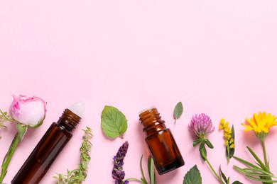 Bottles of essential oils, different herbs and flowers on pink background, flat lay. Space for text