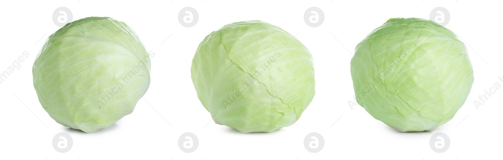 Image of Set of fresh ripe cabbages isolated on white background. Banner design