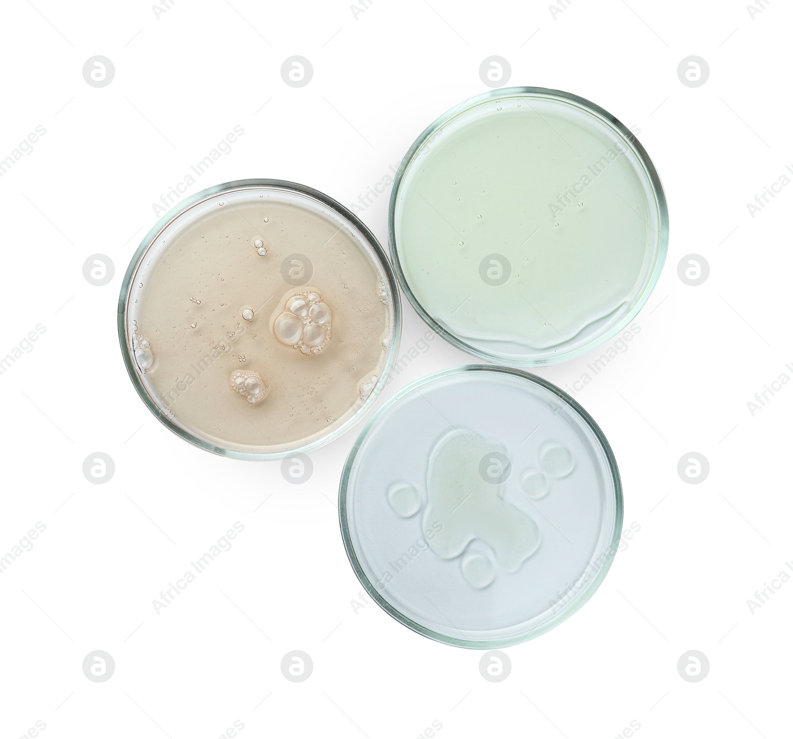 Photo of Petri dishes with different liquids on white background, top view