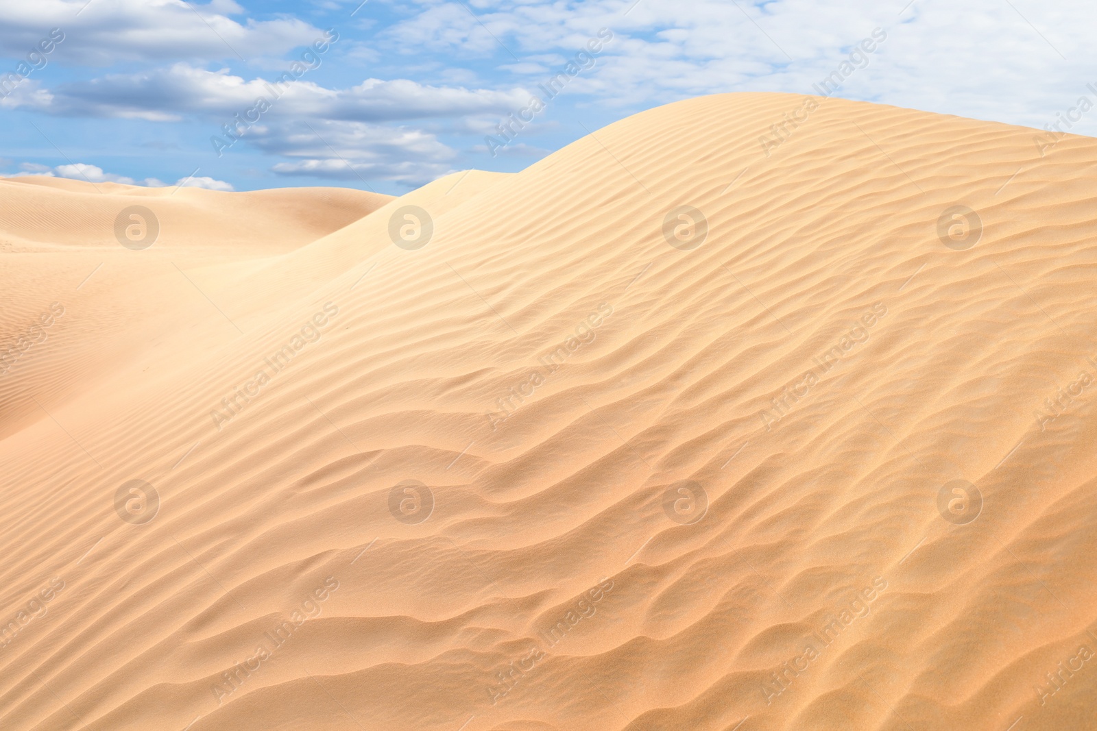 Image of Picturesque view of sandy desert and blue sky on hot sunny day 