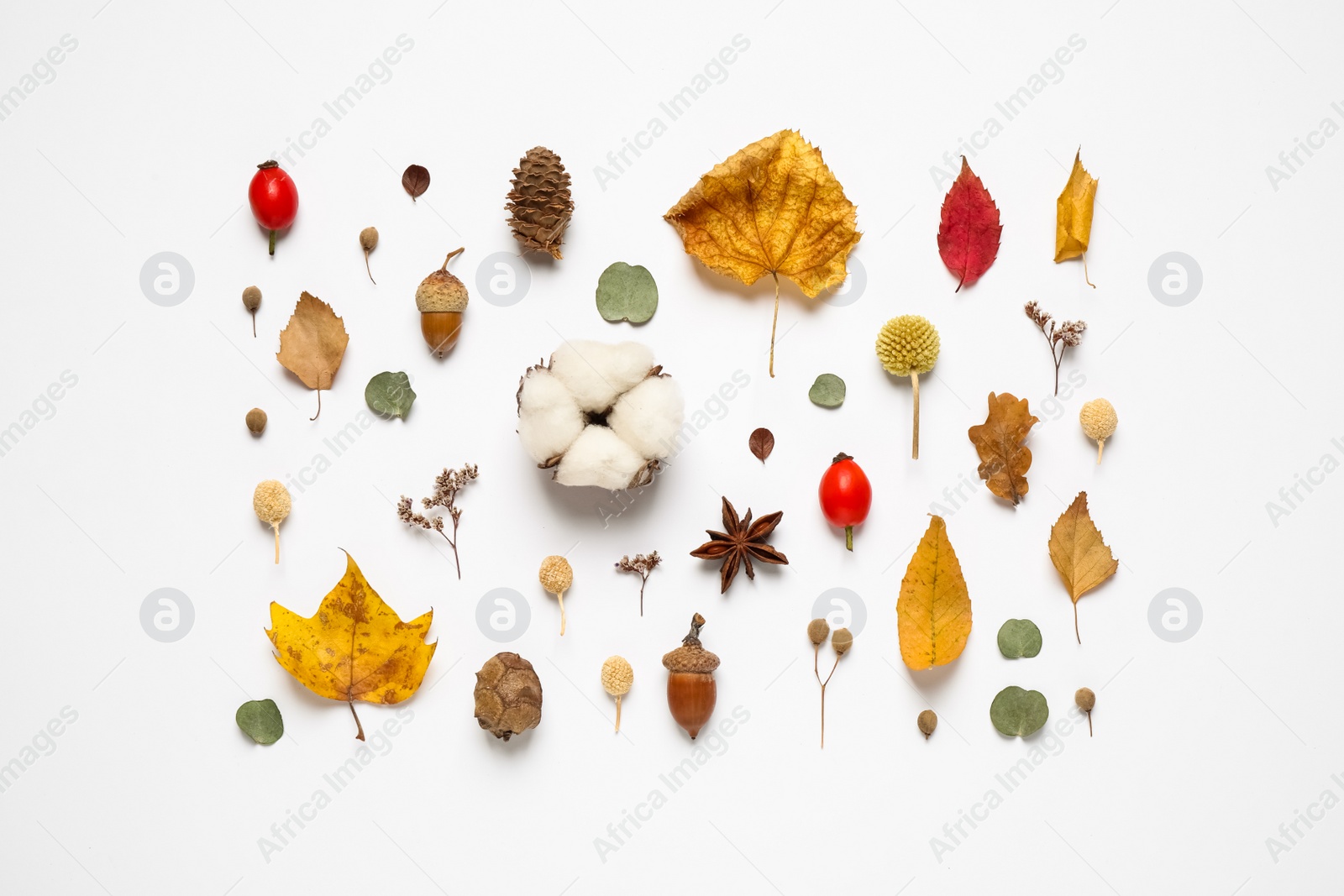 Photo of Flat lay composition with autumn leaves on white background