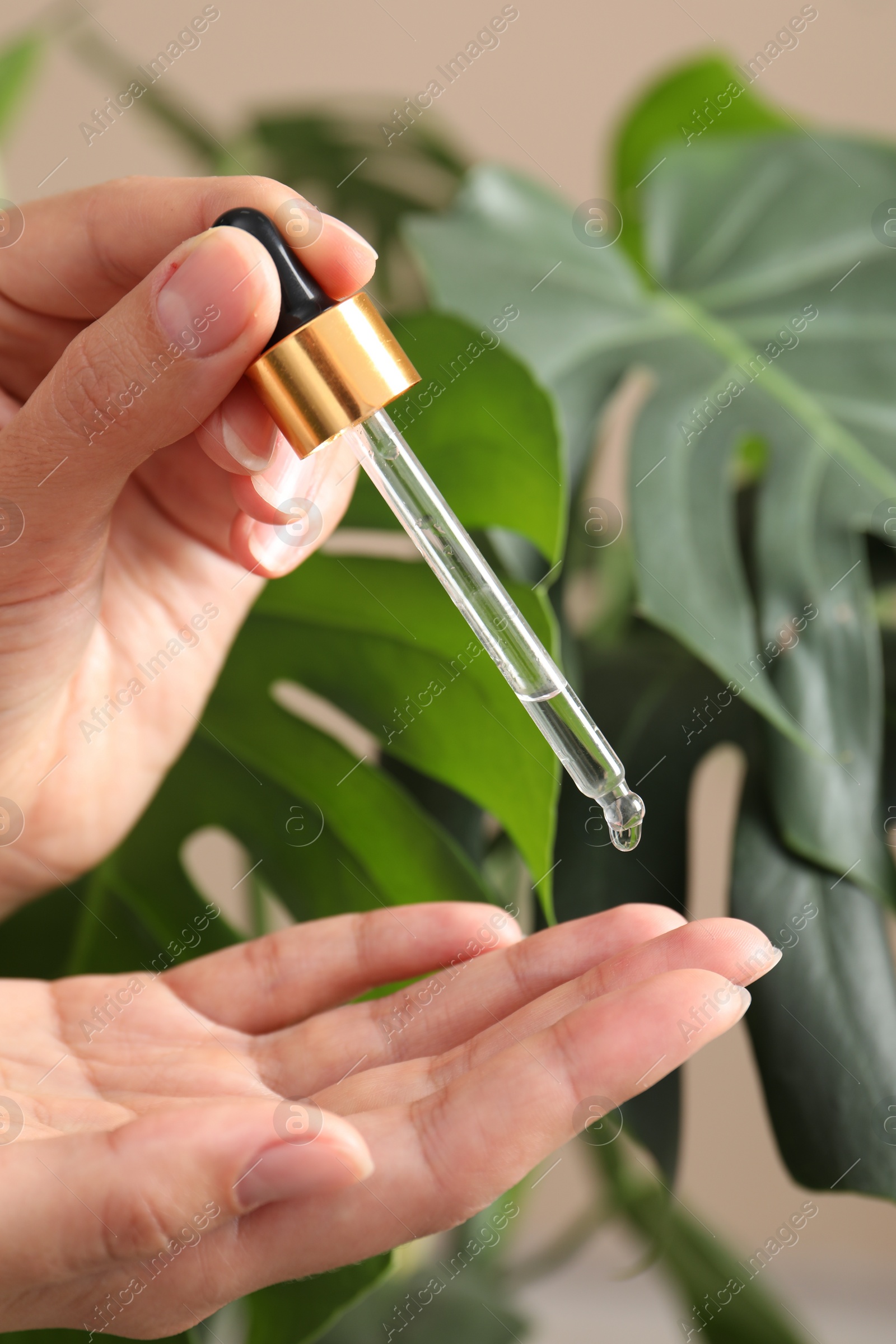 Photo of Woman applying cosmetic serum onto her hand near green plant, closeup