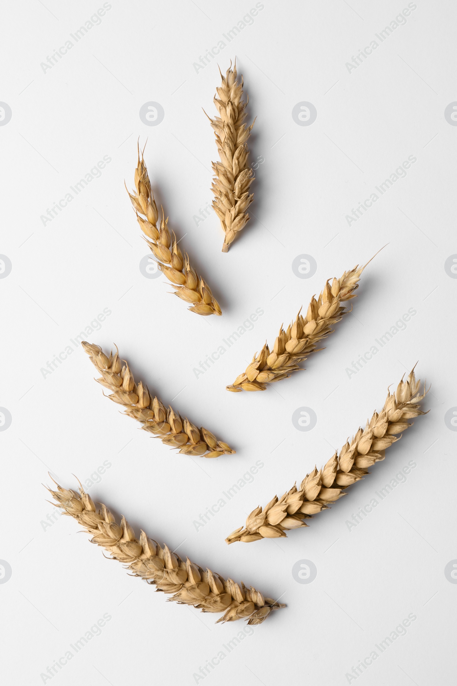 Photo of Spike shape made with ears of wheat on white background, flat lay
