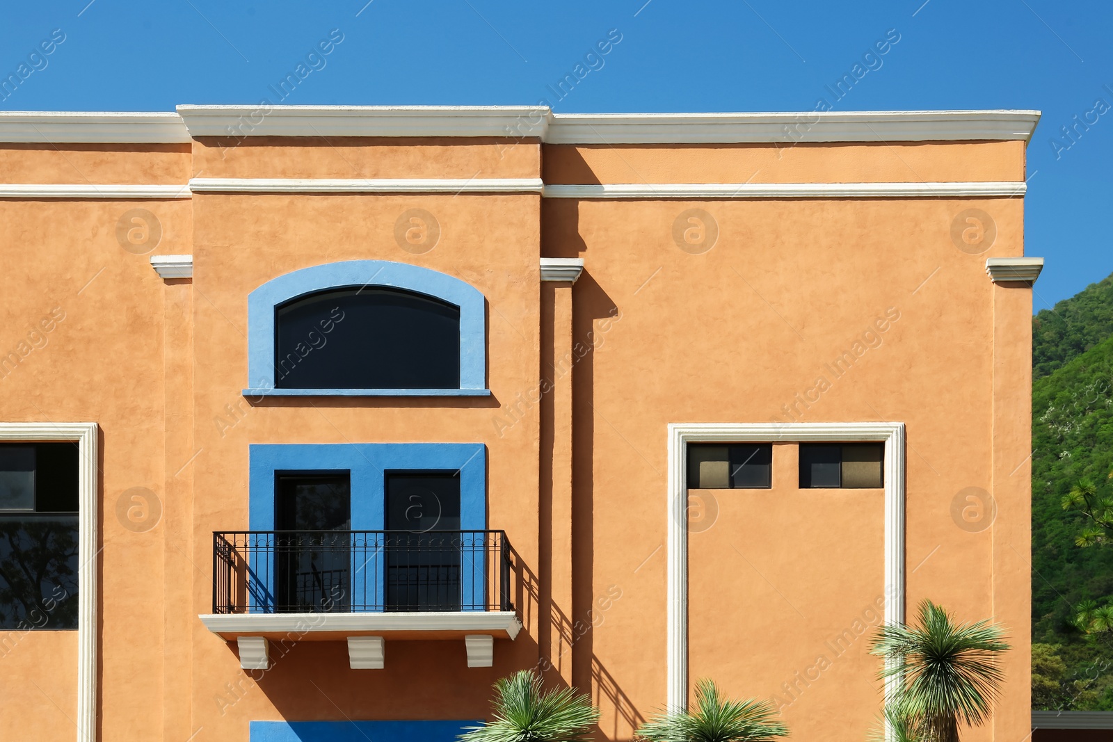 Photo of Palm trees and building with closed windows outdoors