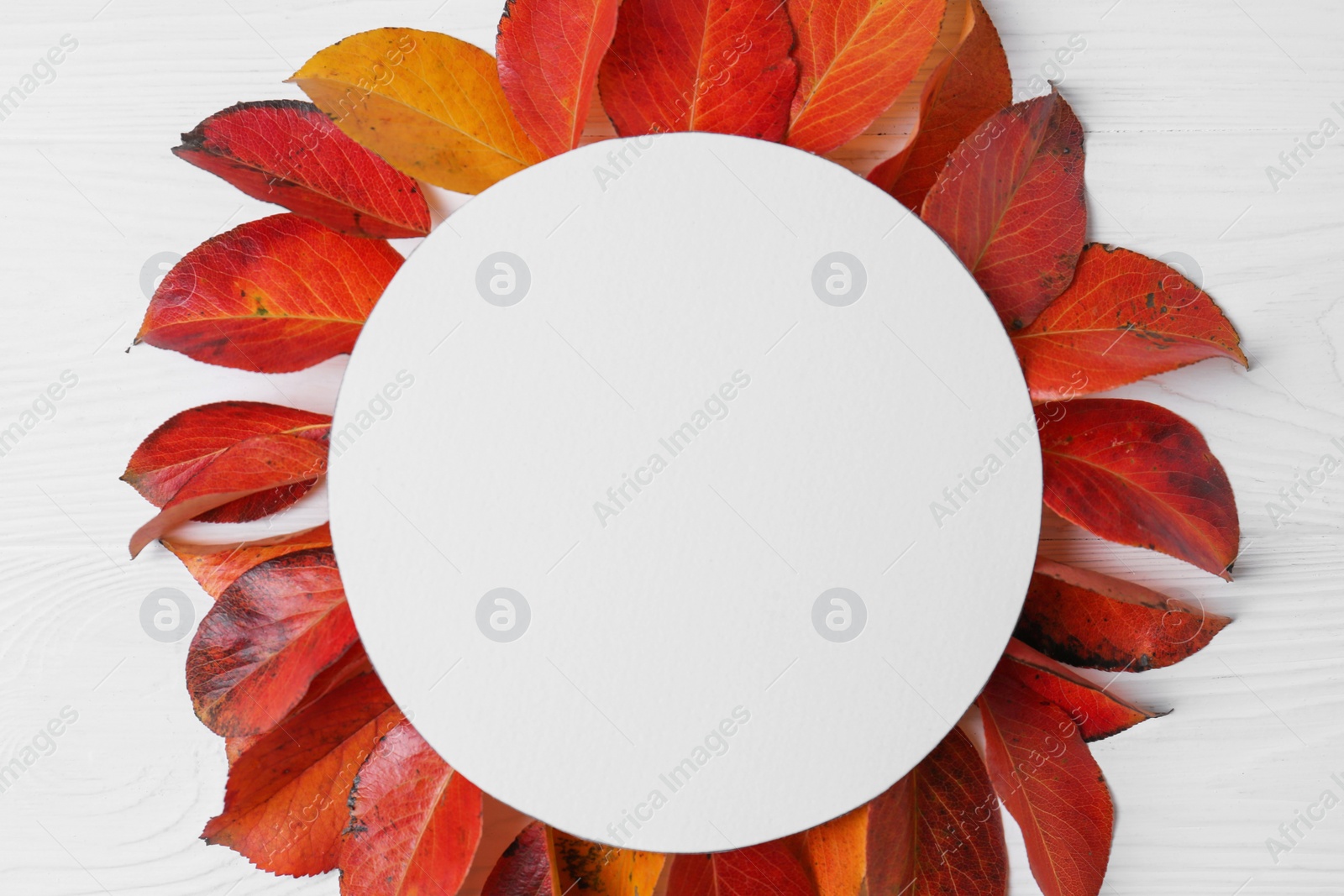 Photo of Flat lay composition with blank card and autumn leaves on white wooden table. Space for text