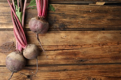 Photo of Raw ripe beets on wooden table, flat lay. Space for text