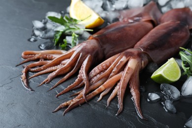 Photo of Fresh raw squids with ice, citrus fruits and arugula on black table, closeup