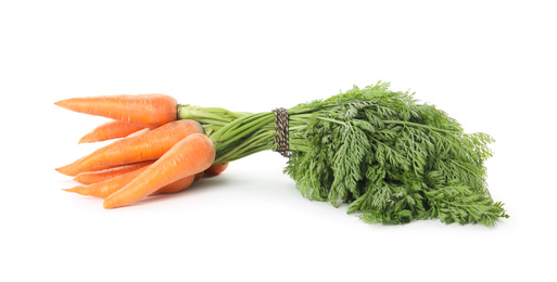 Photo of Bunch of fresh ripe carrots isolated on white