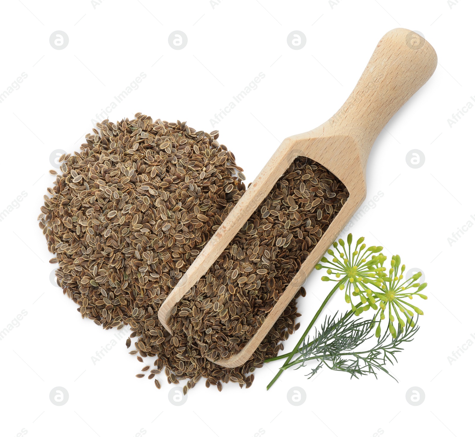 Photo of Scoop with dry seeds and fresh dill isolated on white, top view
