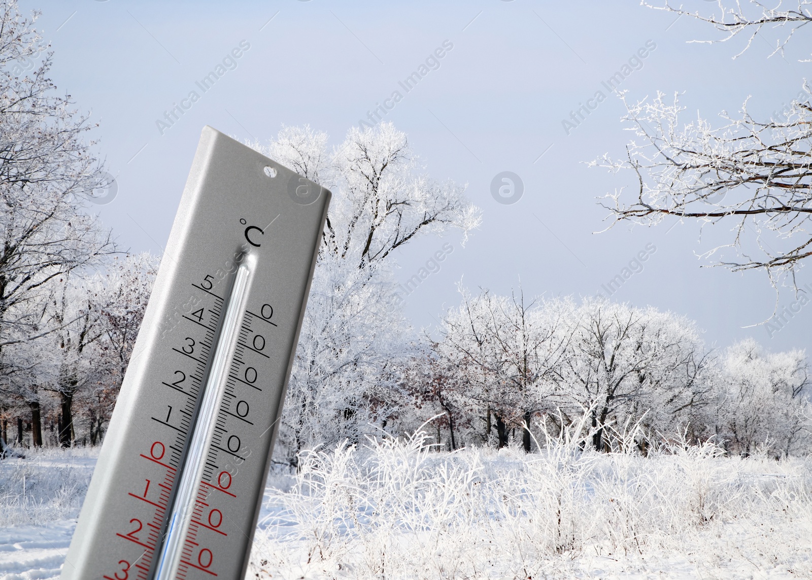 Image of Weather thermometer and view of snowy forest, space for text