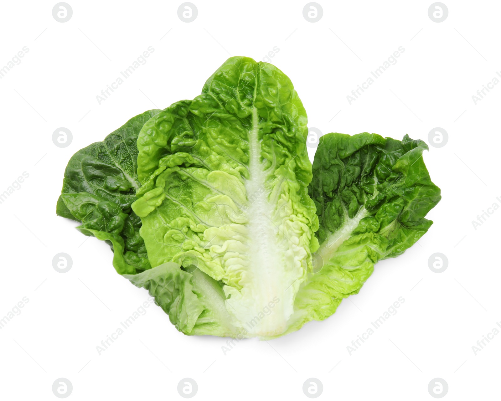 Photo of Fresh leaves of green romaine lettuce isolated on white, top view