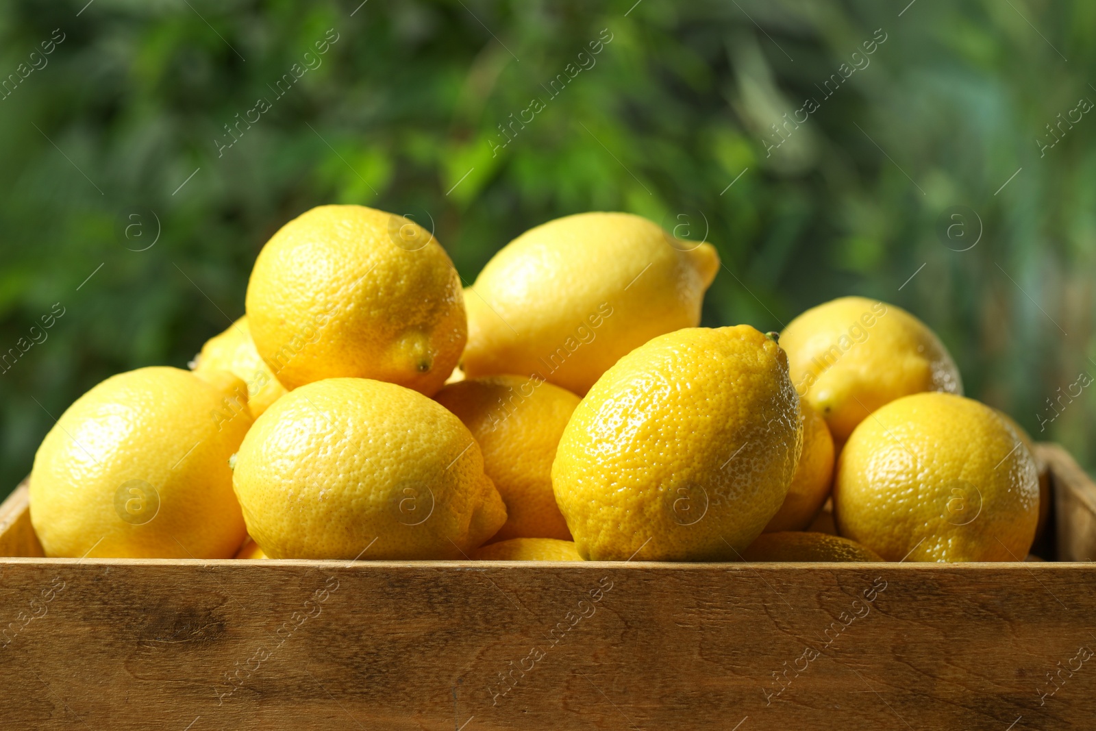 Photo of Fresh lemons in wooden crate against blurred background, closeup