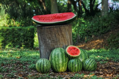 Many ripe whole and cut watermelons outdoors
