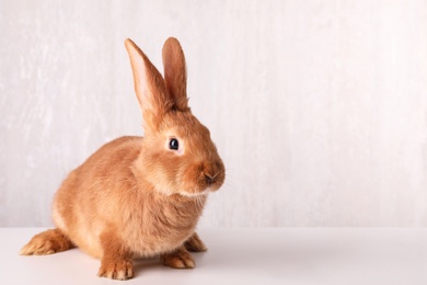 Photo of Cute bunny on white table against light background, space for text. Easter symbol