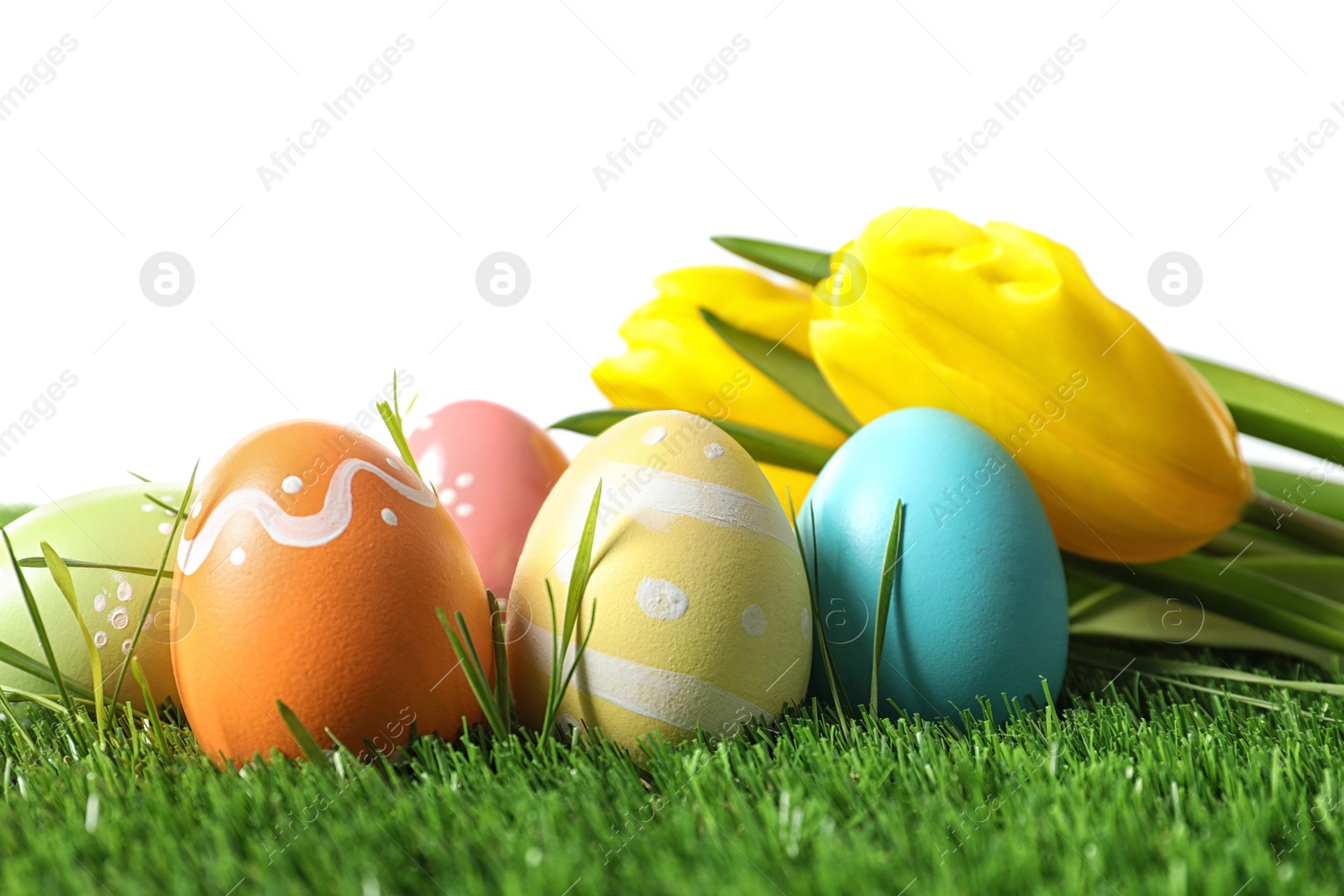 Photo of Colorful painted Easter eggs and flowers on green grass against white background