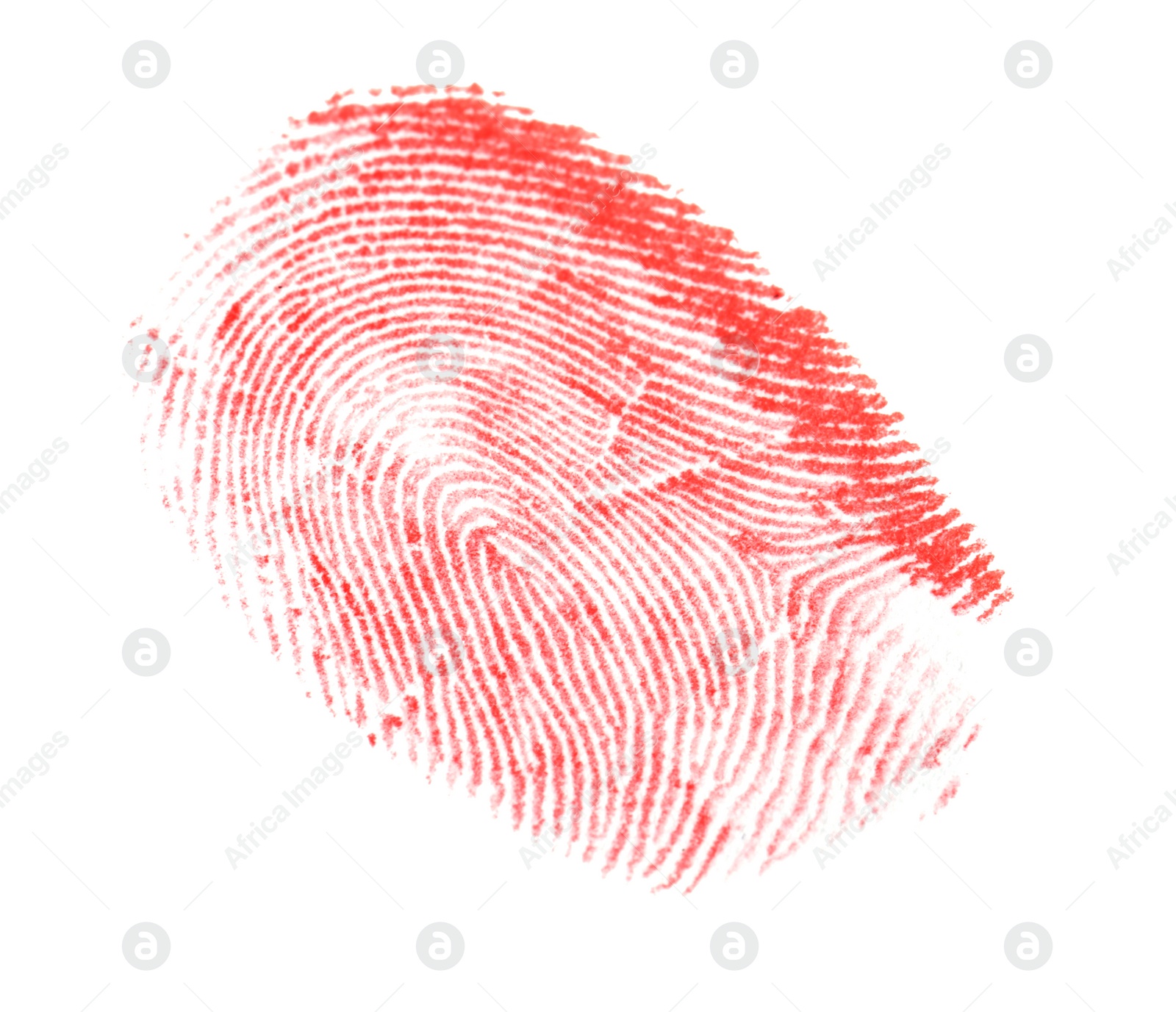 Photo of Fingerprint made with blood on white background, top view