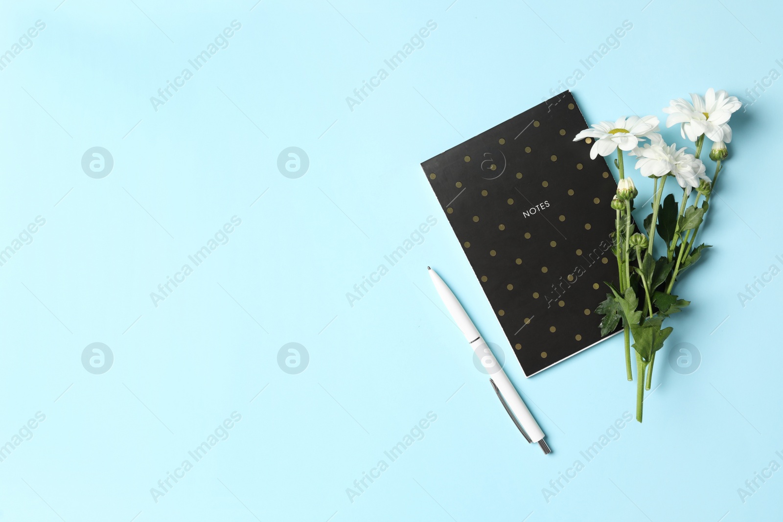 Photo of Different school stationery and beautiful white flowers on light blue background, flat lay with space for text. Happy Teacher's Day