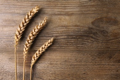 Photo of Ears of wheat on wooden table, flat lay. Space for text
