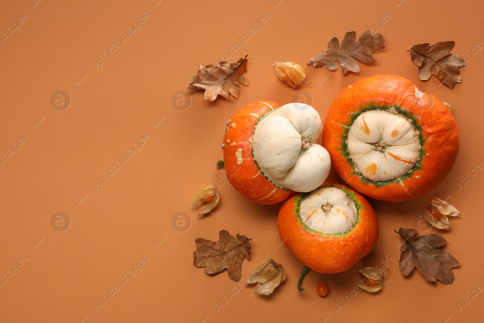 Photo of Fresh ripe pumpkins and dry leaves on orange background, flat lay. Space for text