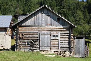 Wooden village house near forest on sunny day