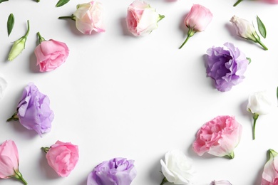 Photo of Flat lay composition with beautiful Eustoma flowers on light background